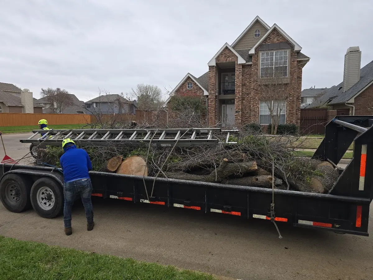 Expert Tree Pest Control with proper safety equipment in Fishers Island